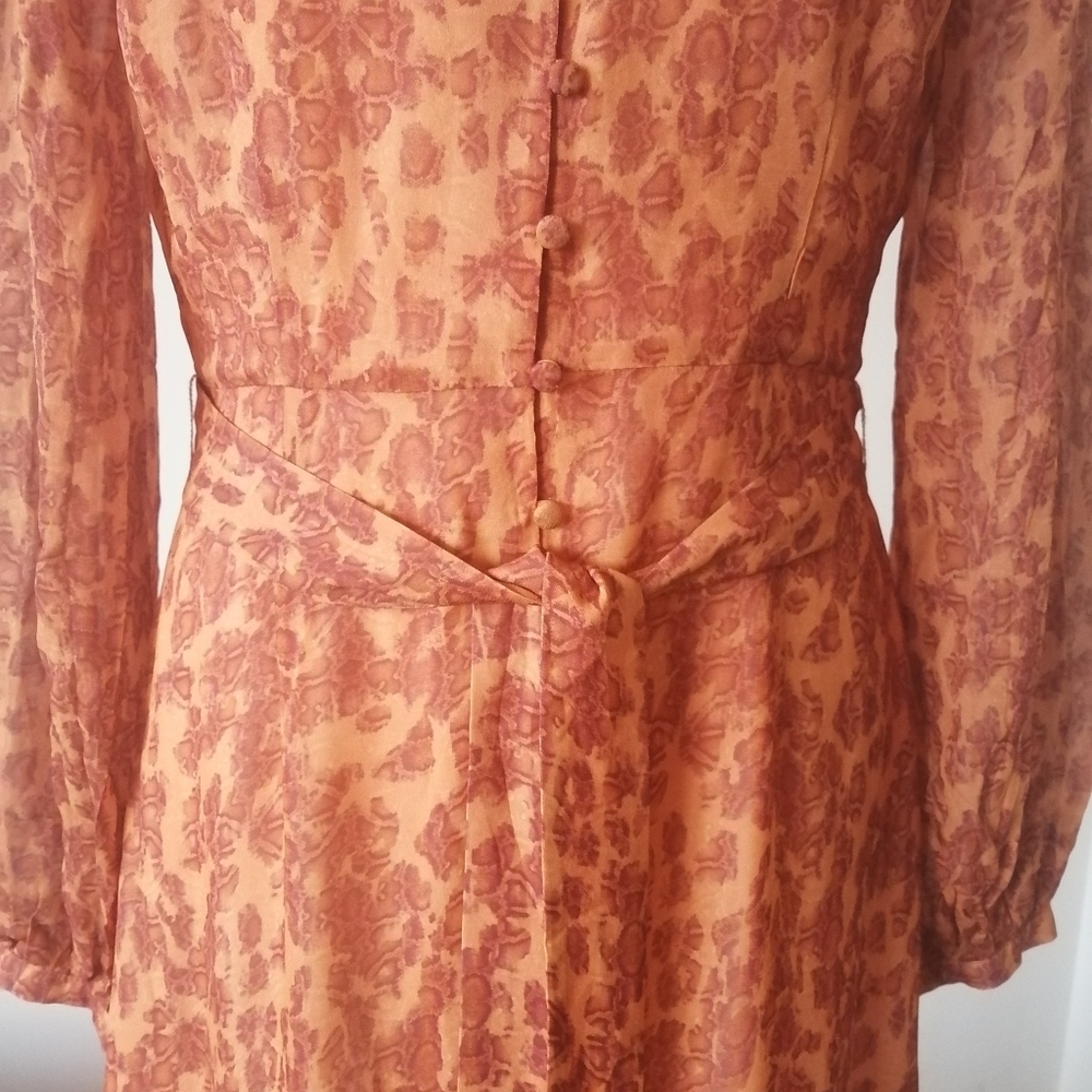 Spice Animal print mid Dress - Picture 8 of 9